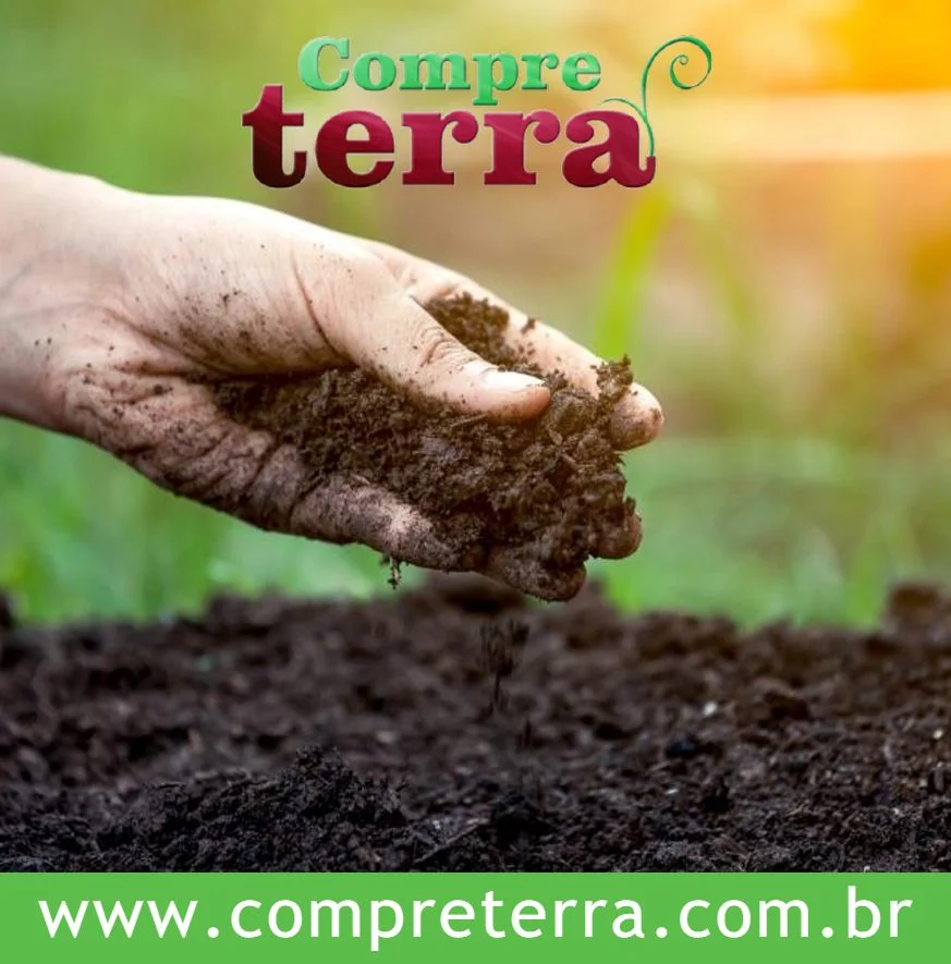 Case de Sucesso Compre Terra - Criação de site institucional para empresa de paisagismo e jardinagem em São Paulo